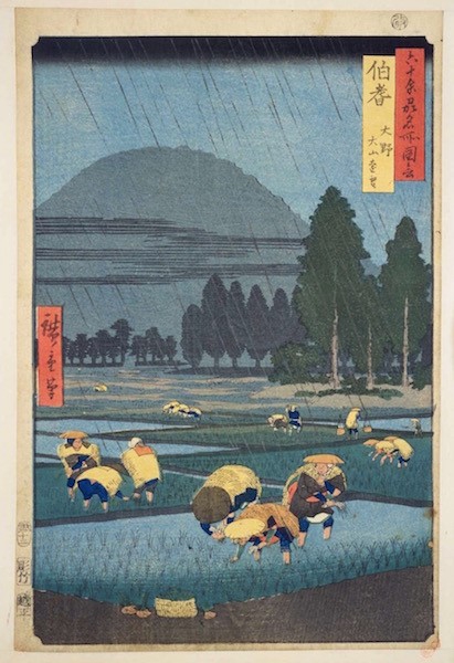 伯耆 大野 大山遠望 | 桜楓会 Ohfukai Society