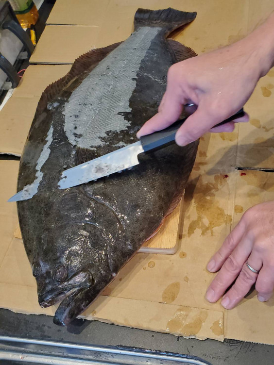 お客様からの投稿写真集 三河一色さかな村 深谷水産