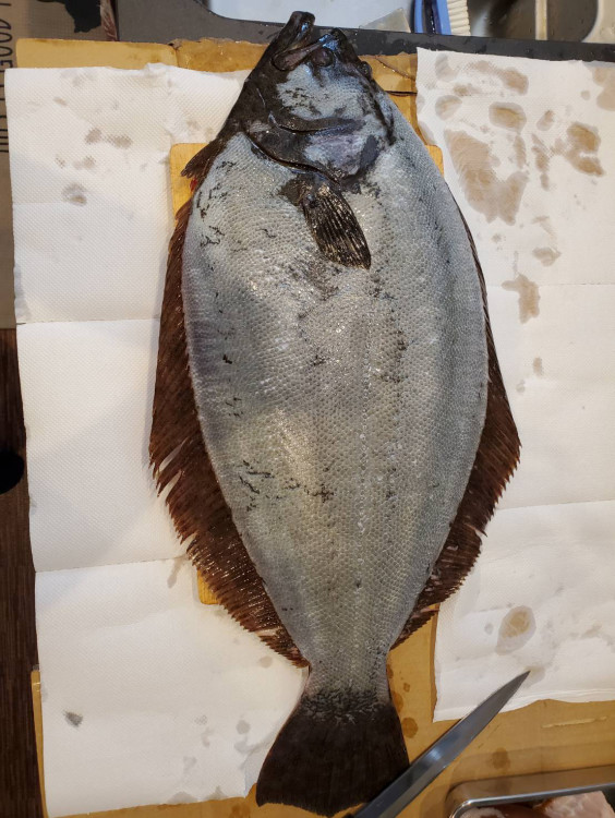 お客様からの投稿写真集 三河一色さかな村 深谷水産