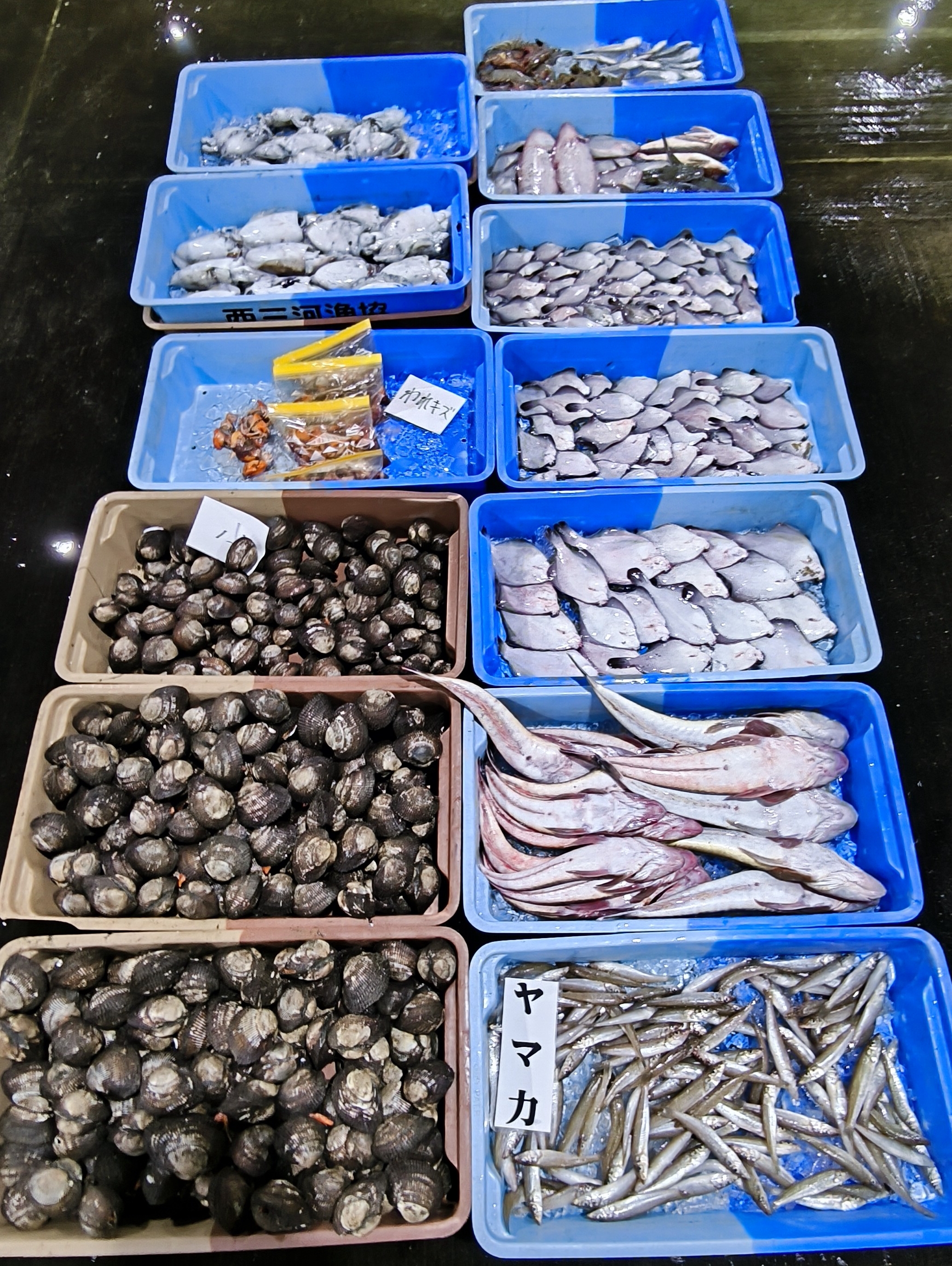 12日、野間の内湾船、モクズガニ、 ! | 三河一色さかな村・深谷水産