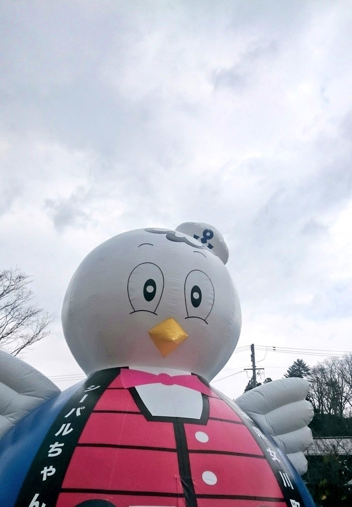 シーパルちゃん Tohoku Roots Project S Blog シーパルちゃん Tohoku Roots Project S Blog