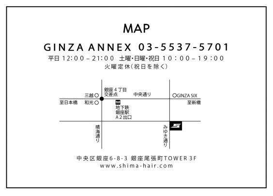 Salon Info Shima Ginza Annex