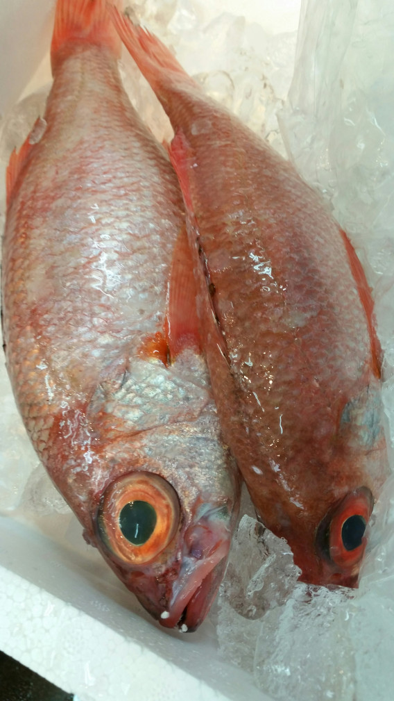 釣りたて 日本料理 寿司 配達 川久