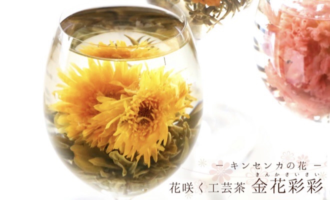 キンセンカ様 春の花 26（ヒメキンセンカ） | 山想花（sansouka）ブログ