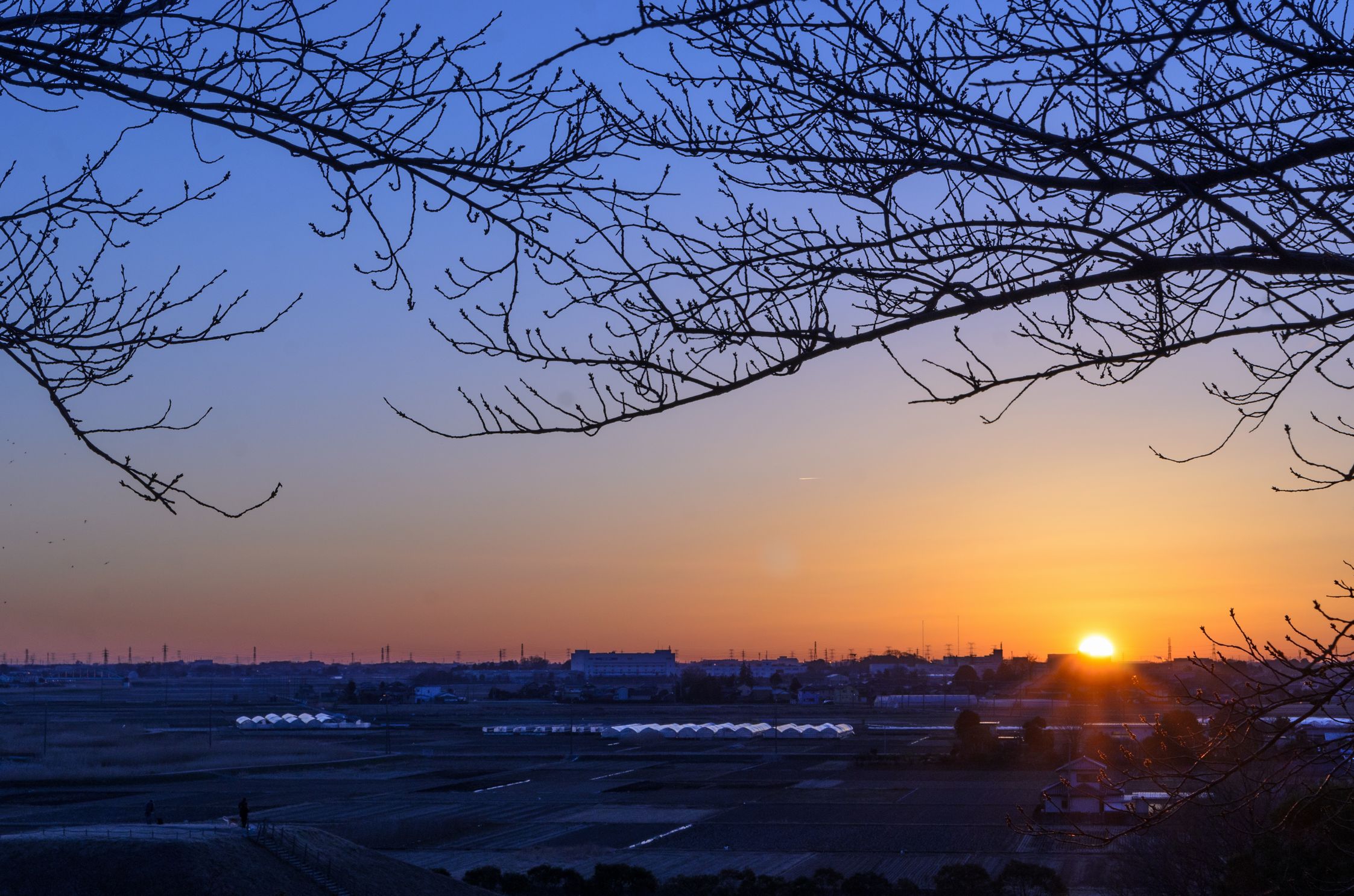 d144d9bc0f8fe4ddade9a120f6fc67