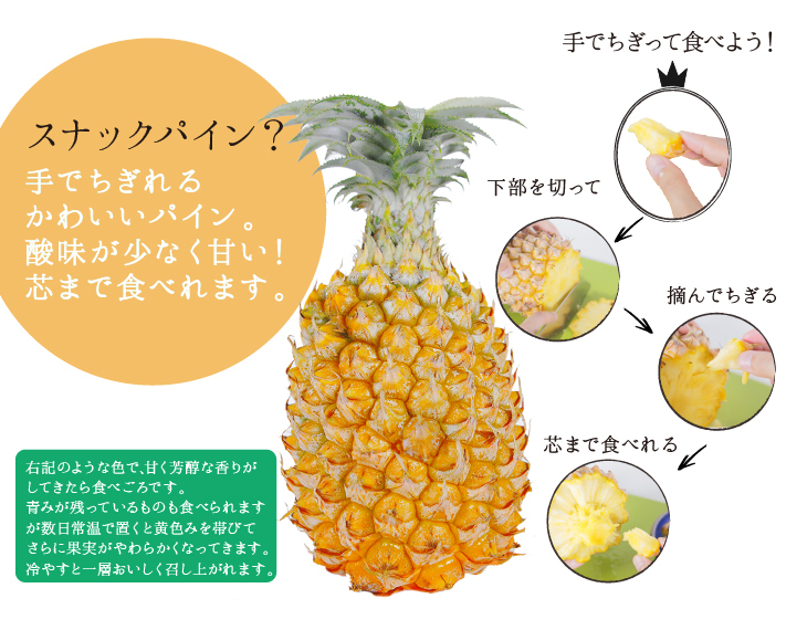 石垣島産パイナップル | 喜島商店
