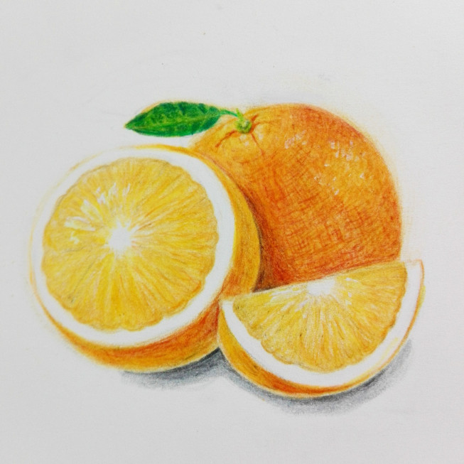 本日の色鉛筆画は オレンジ Color Trip 春名美咲の色鉛筆ギャラリー