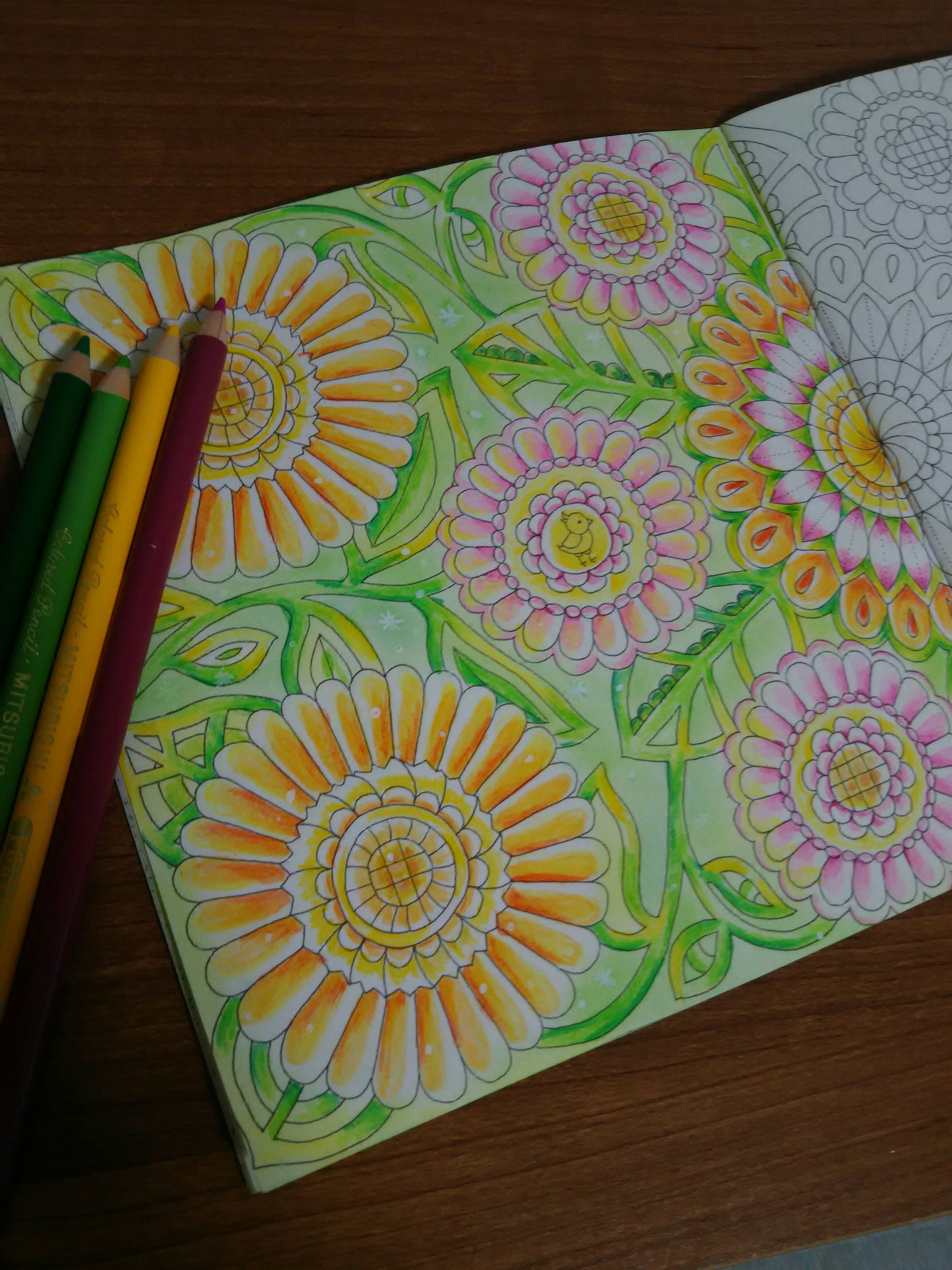 参加者さまの作品紹介 color trip ～春名美咲の色鉛筆ギャラリー～