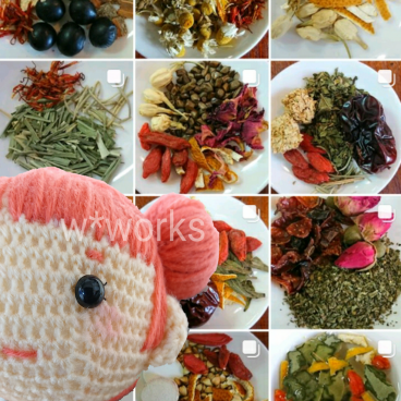 人と愛犬の暮らしに薬膳と生活養生と癒しのあみぐるみ　w*works