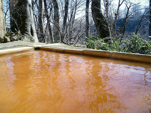 野沢温泉村 北信濃 妙高エリア観光情報 ふるさとを旅する 野沢温泉村 北信濃 妙高エリア観光情報 ふるさとを旅する