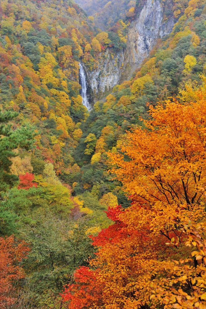 志賀高原の紅葉 北信濃 妙高エリア観光情報 ふるさとを旅する