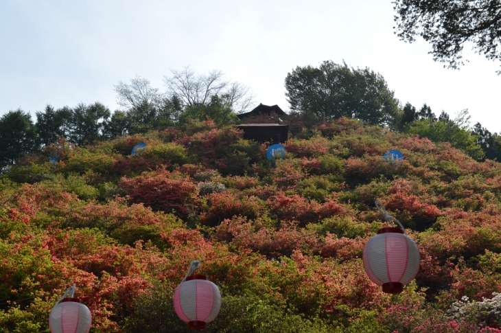 中部山岳国立公園 Mt.乗鞍スノーリゾート | 【リフト運行開始