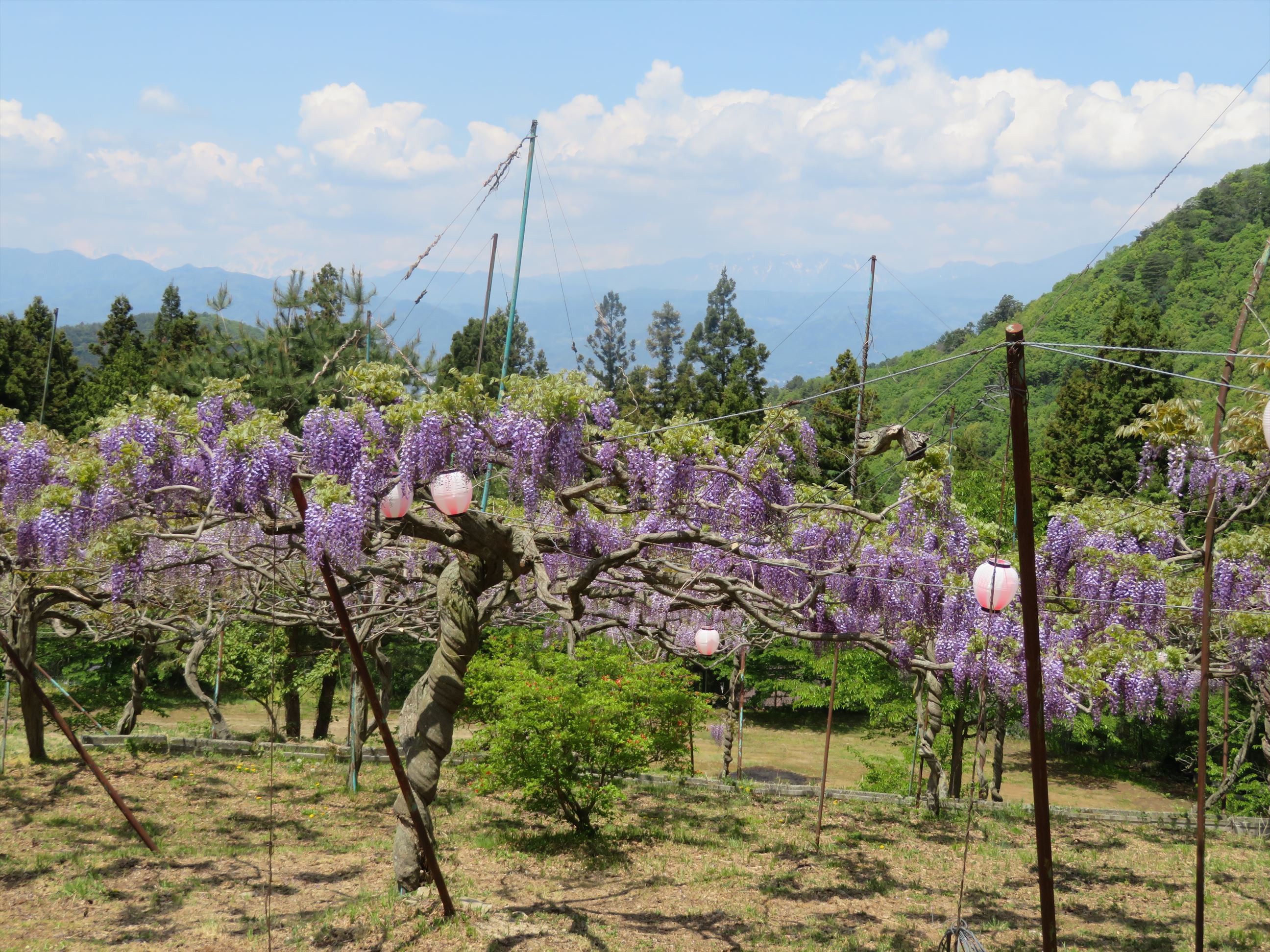 c5348123f35d6bc500c8419776466a