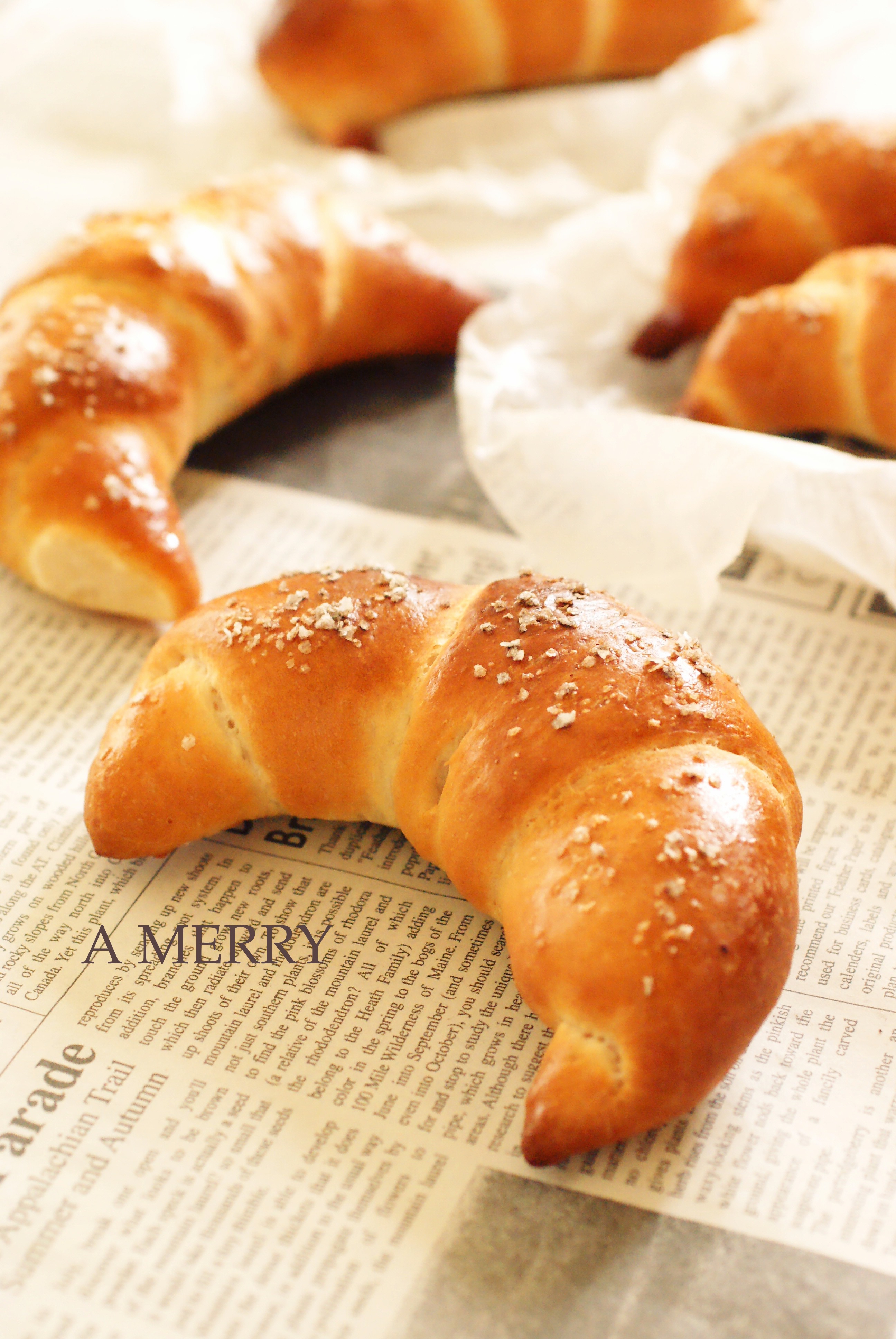 ザルツシュタンゲン 塩パン A Merry