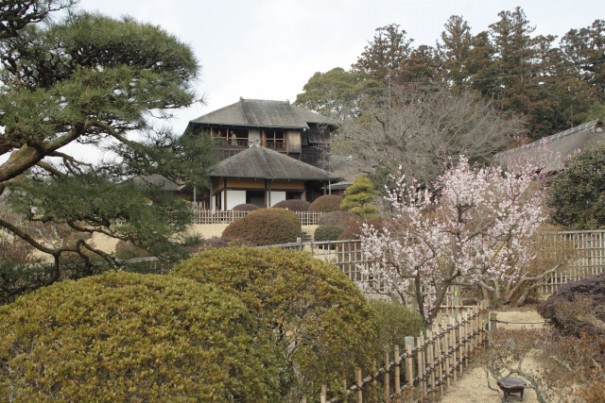 水戸の観光にははずせない 日本三大名園の偕楽園 茨城県水戸市 にっぽんの魅力