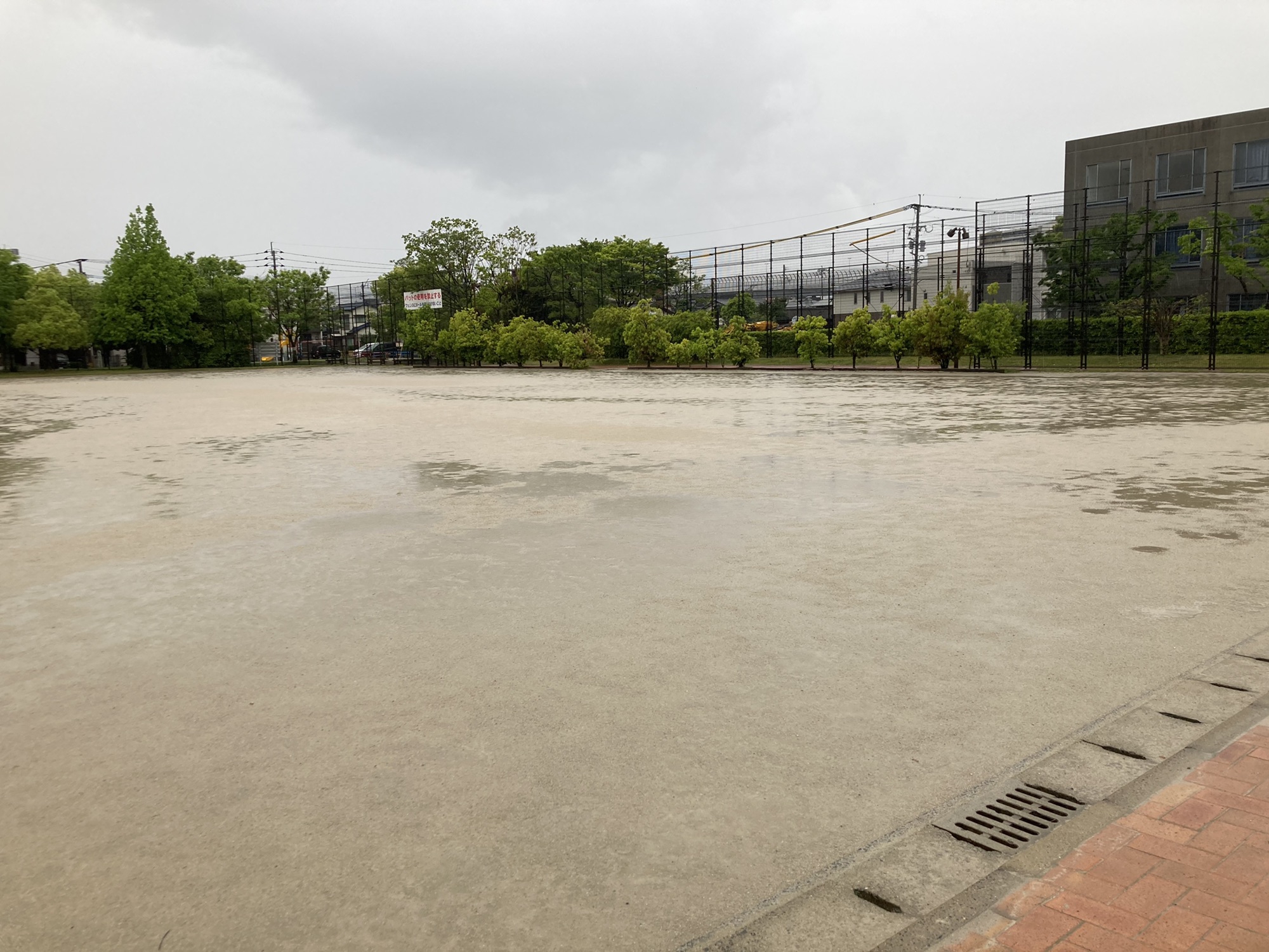 自転車 の 練習 が できる 公園 福岡