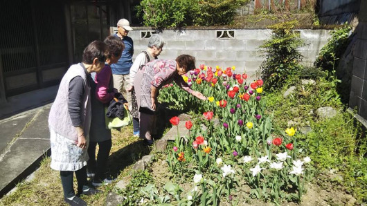 17 日 チューリップの球根販売と植え方相談会します それぞれブログ 夢は東西二拠点ol生活