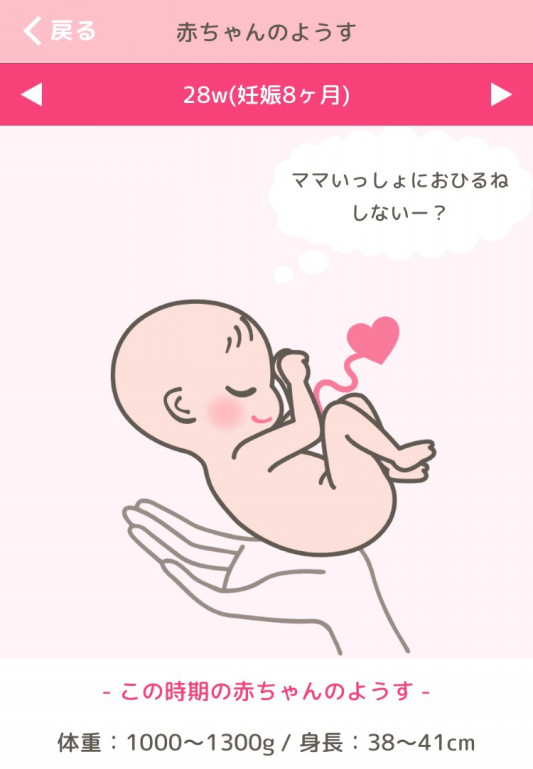 28w0d 8ヶ月 保険と模様替え Baby S Breath