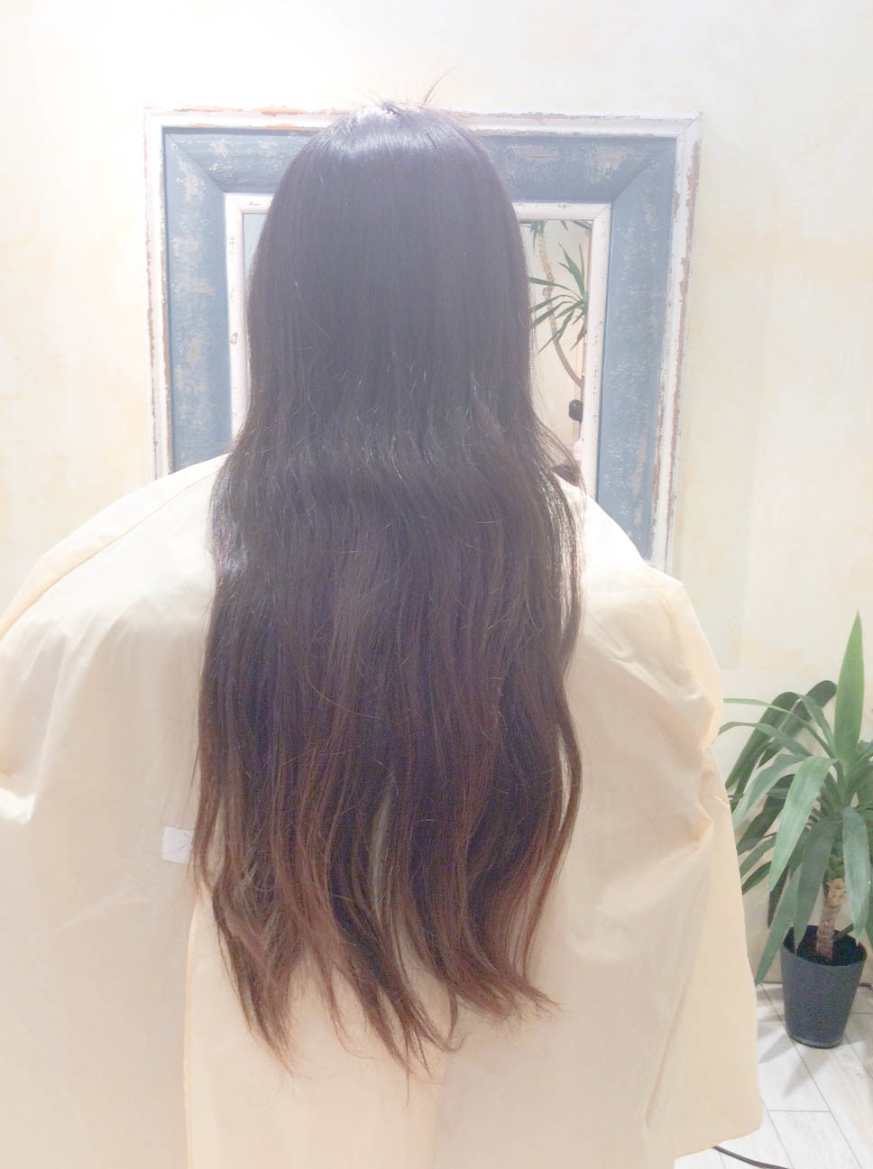 ヘアドネーション 頑張ってこのために伸ばしました Ciabirth S Ownd