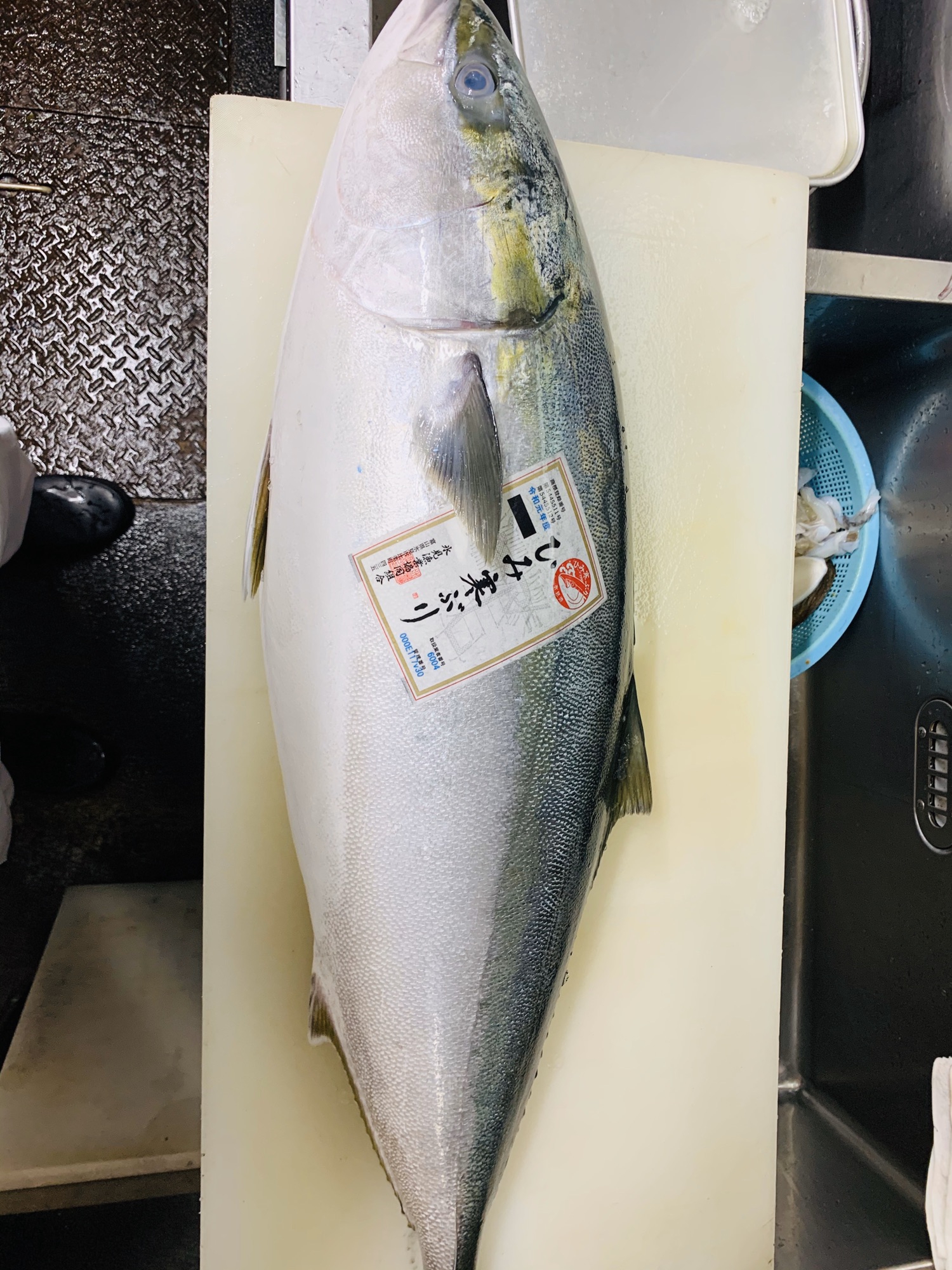 氷見の寒ブリ仕入れました！ 銀座壮石