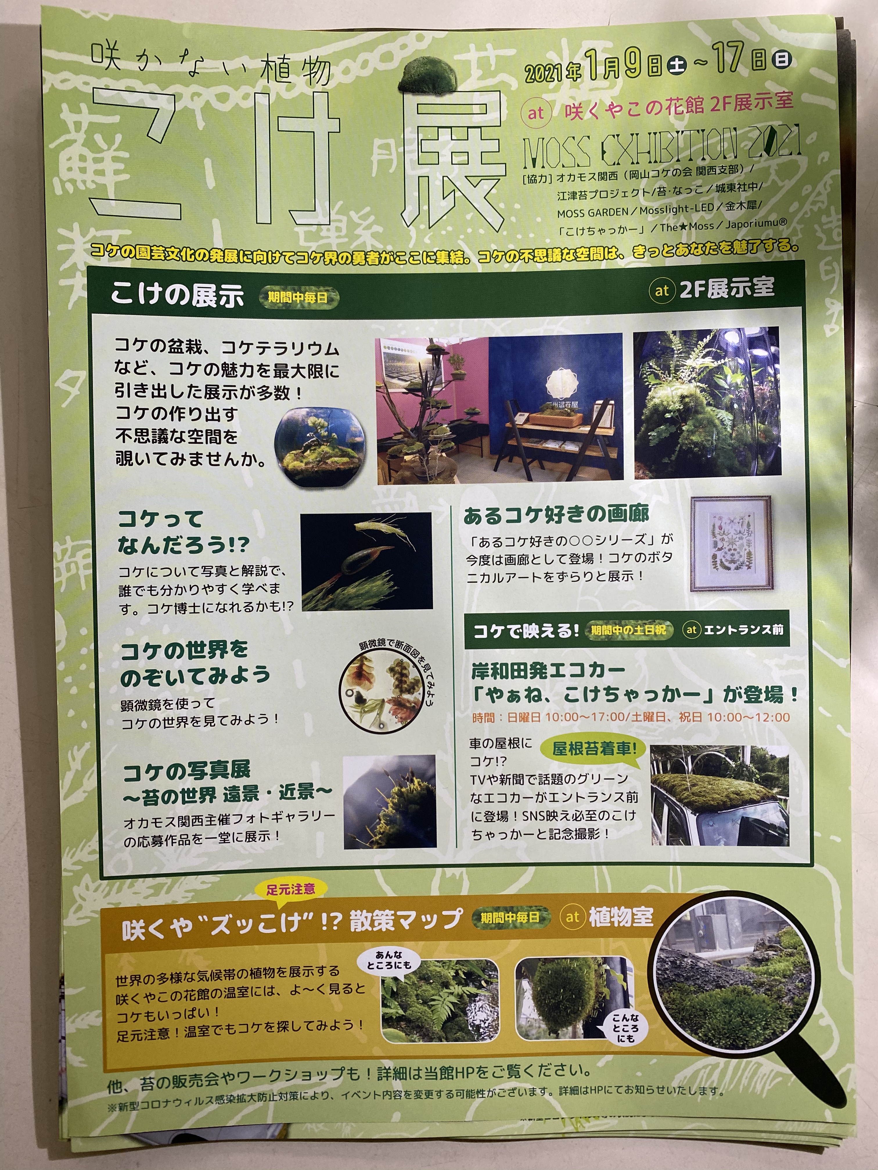 缶バッジ　苔こけコケ展 苔ｽﾞ・ロゴ（3種）】缶バッジ - yokai-tink - BOOTH