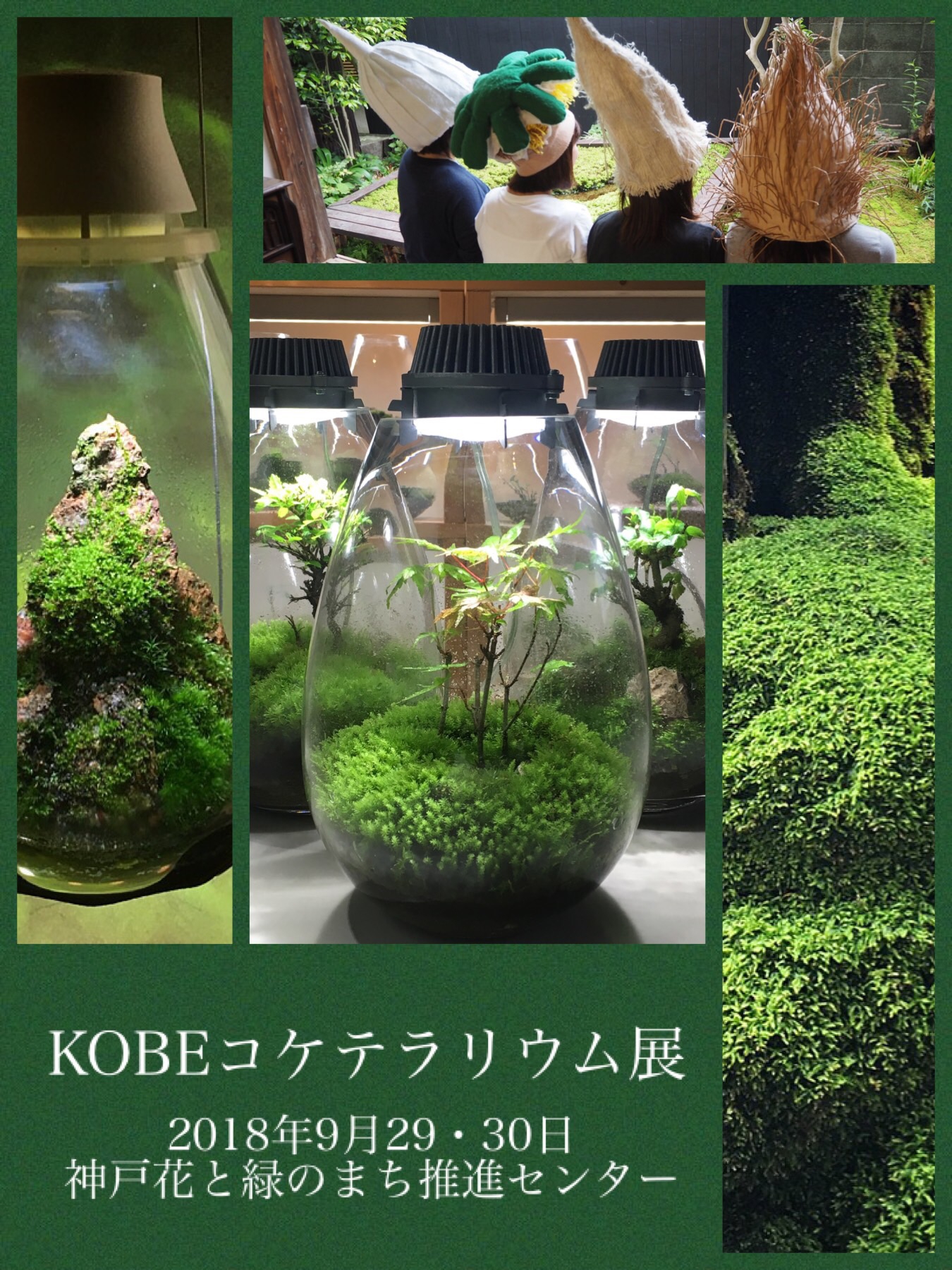 Kobeコケテラリウム展18 Mosslight Led