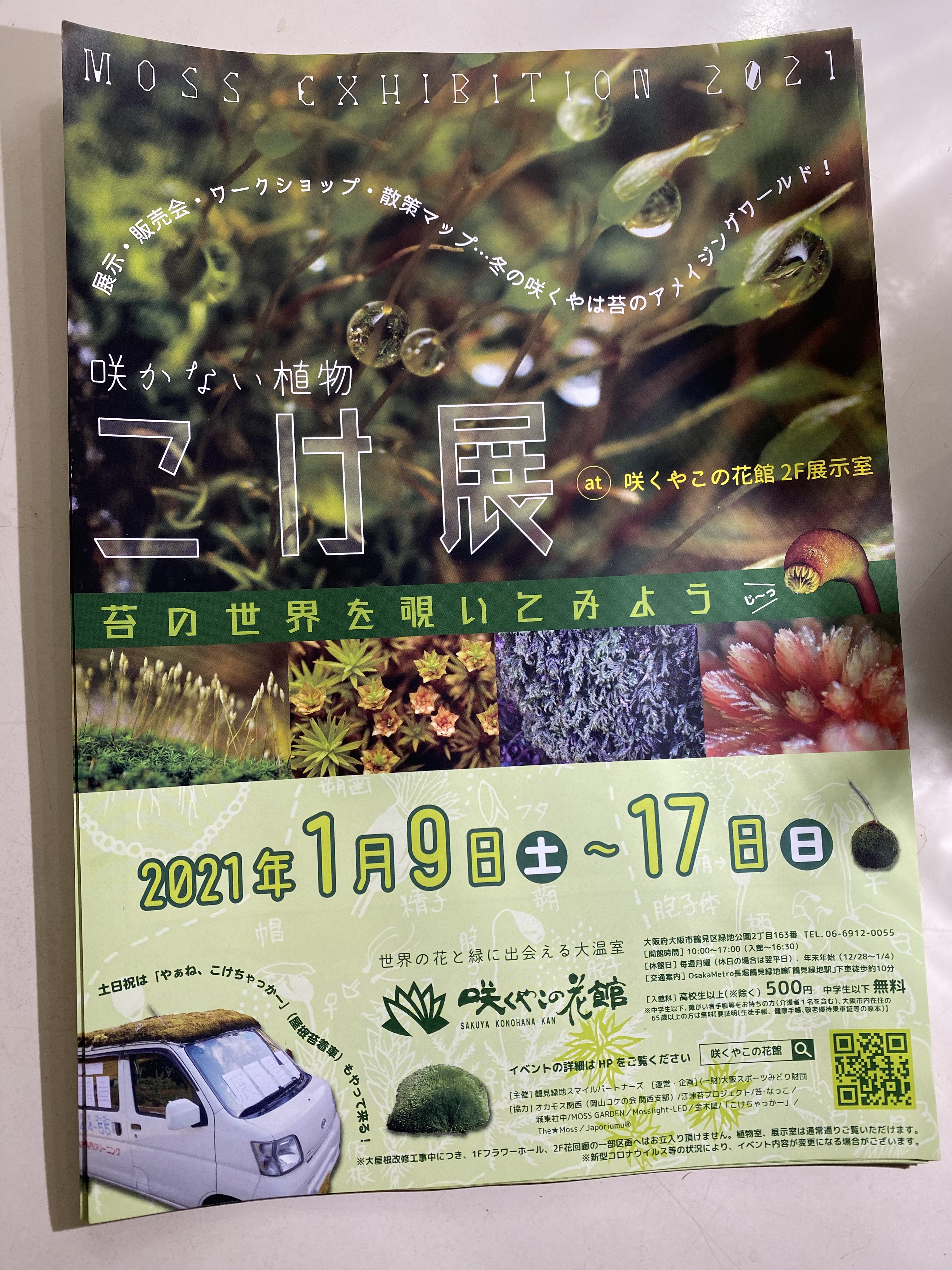 缶バッジ　苔こけコケ展 咲かない植物「こけ展」 | Mosslight-LED