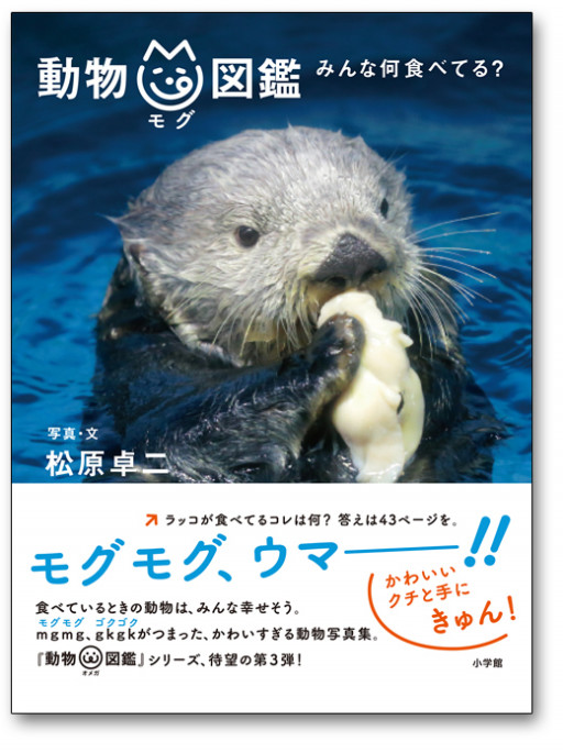 写真集 モフモフ情報局