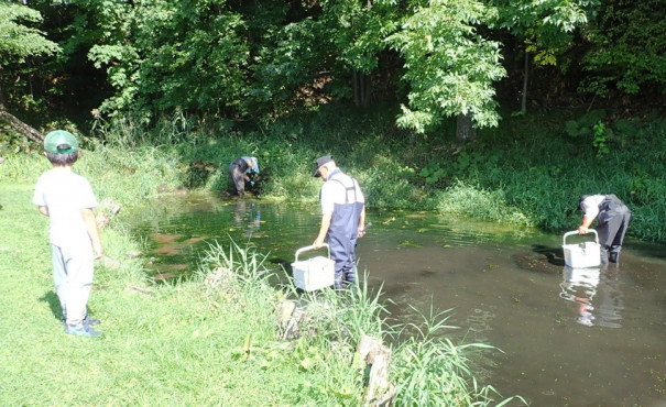 取ってもとってもアオミドロ Kitami Hokuto High School Science Club
