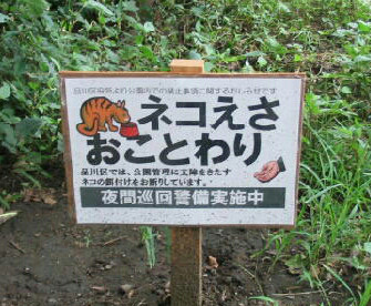 地域猫 餌やり禁止の看板を考える ねこてん