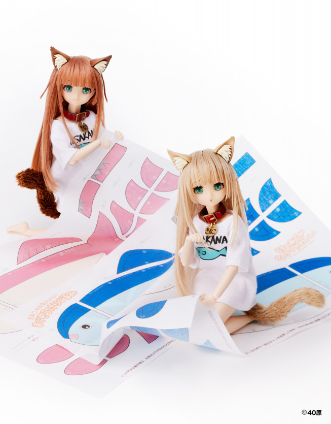 Dollybird vol.37「きゃらDo!! 1/6きなこ ドール Dollybird限定版 
