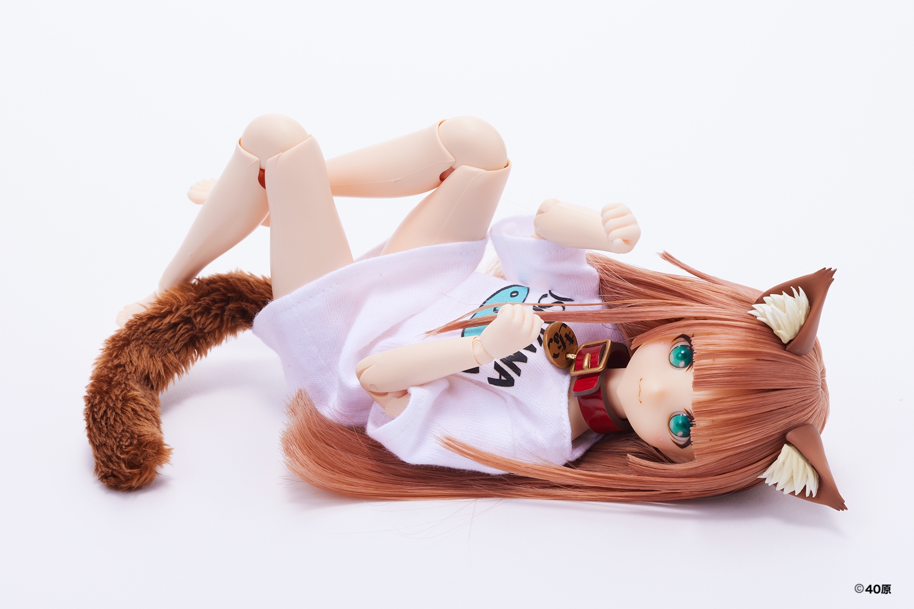 Dollybird vol.37「きゃらDo!! 1/6きなこ ドール Dollybird限定版 