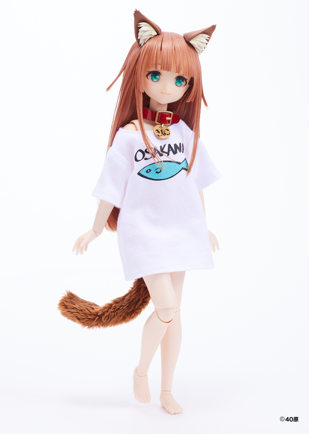 Dollybird vol.37「きゃらDo!! 1/6きなこ ドール Dollybird限定