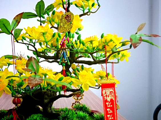 ベトナムの旧正月テト Choy S Vietnam Ownd ベトナムの旧正月テト Choy S Vietnam Ownd