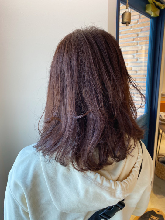 ラベンダーベージュ Canvas ラベンダーベージュ Canvas