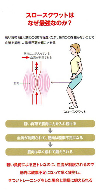 いのちのスクワット イラスト 健康 Hosokawa Natsuko Homepage