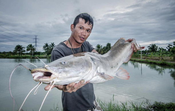 タイの釣り堀でピラルク釣り 日本語通訳付きツアー Onnut Nations オンヌット