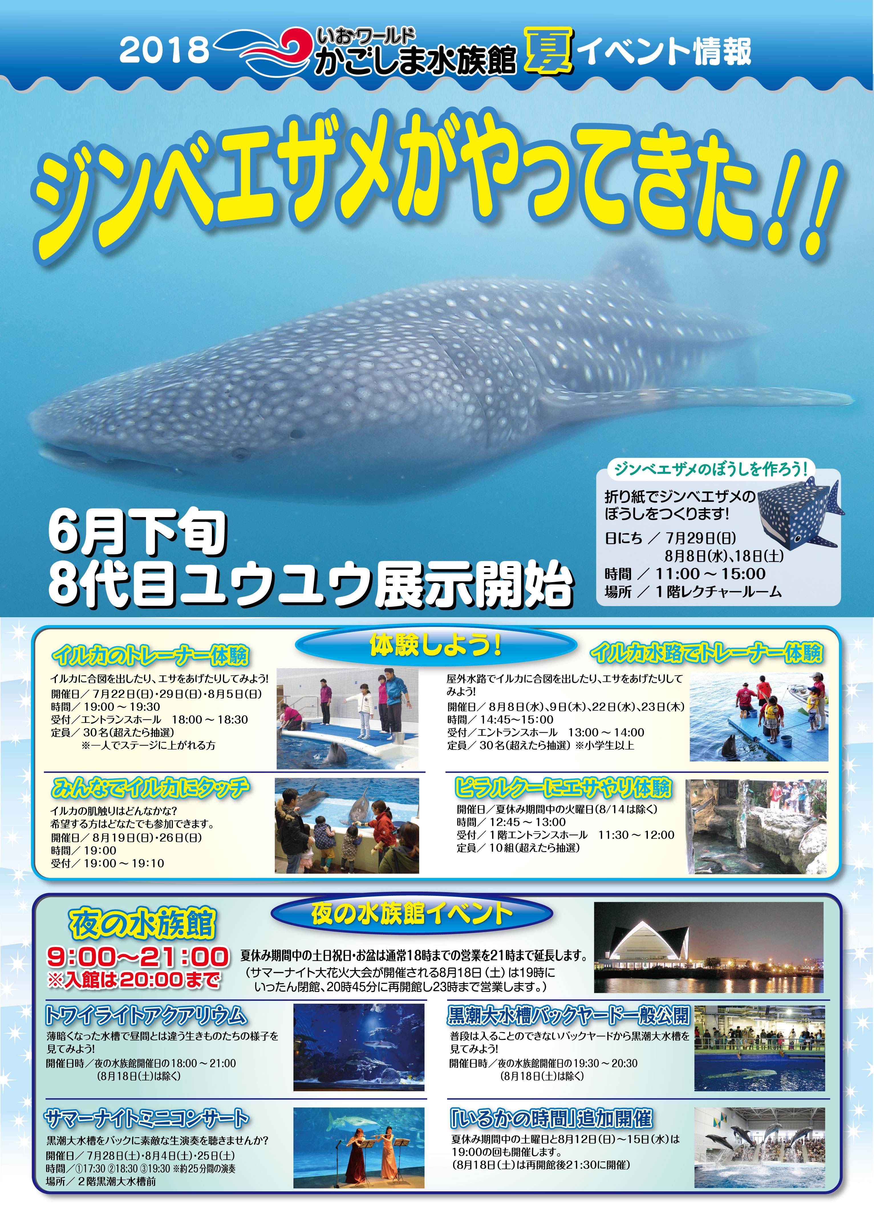 8/25 いおワールドかごしま水族館サマーナイトミニコンサート | Reika Muroya