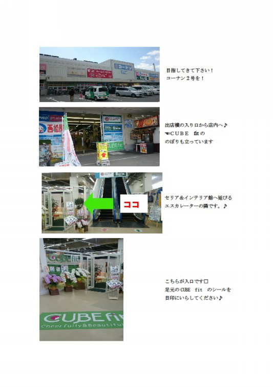 こちらです Cubefit