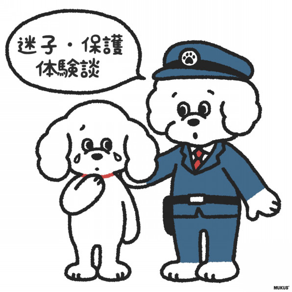 迷子体験談 迷子犬の掲示板