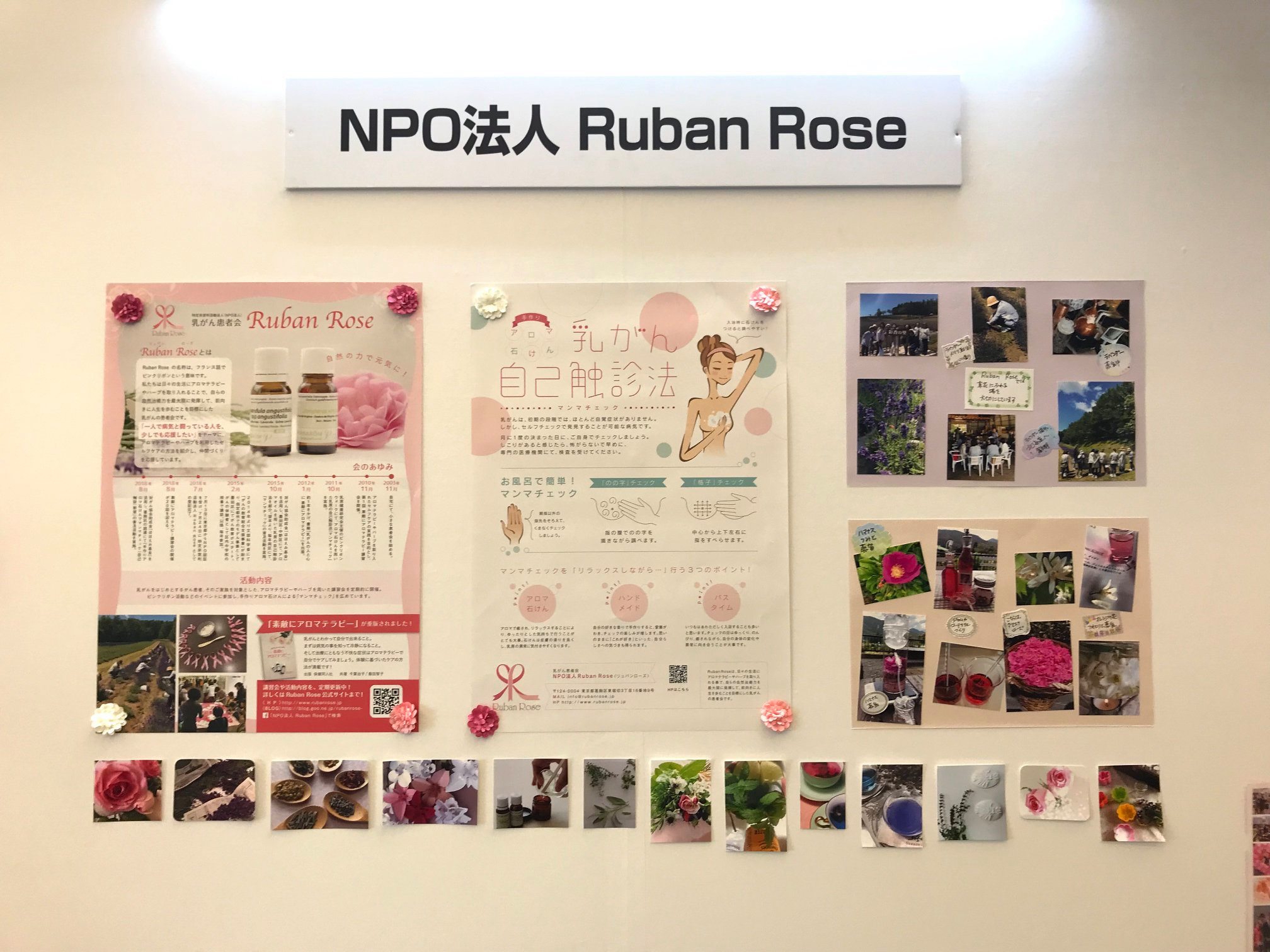 団体概要 | NPO法人 Ruban Rose（女性特有のがん患者会）