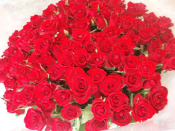 武蔵小杉 元住吉駅近くに移転 激安生花店フラワーマルシェのページ