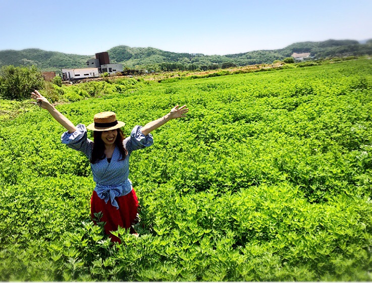 江華島よもぎ蒸し、Leaのこだわり | よもぎ&まこも蒸し サロン Lea