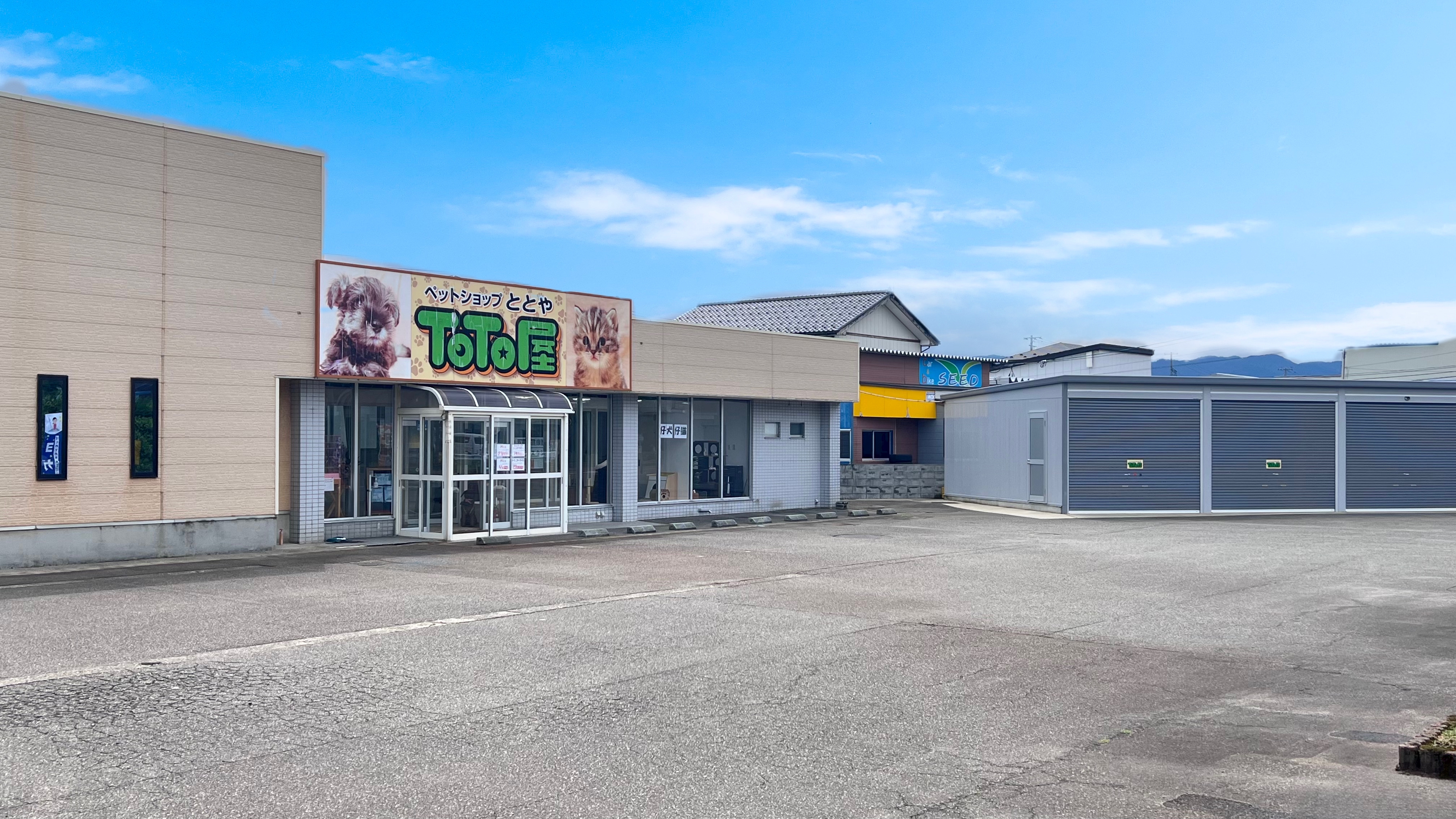 ペットショップTOTO屋 犬猫専門店のペットホテル写真