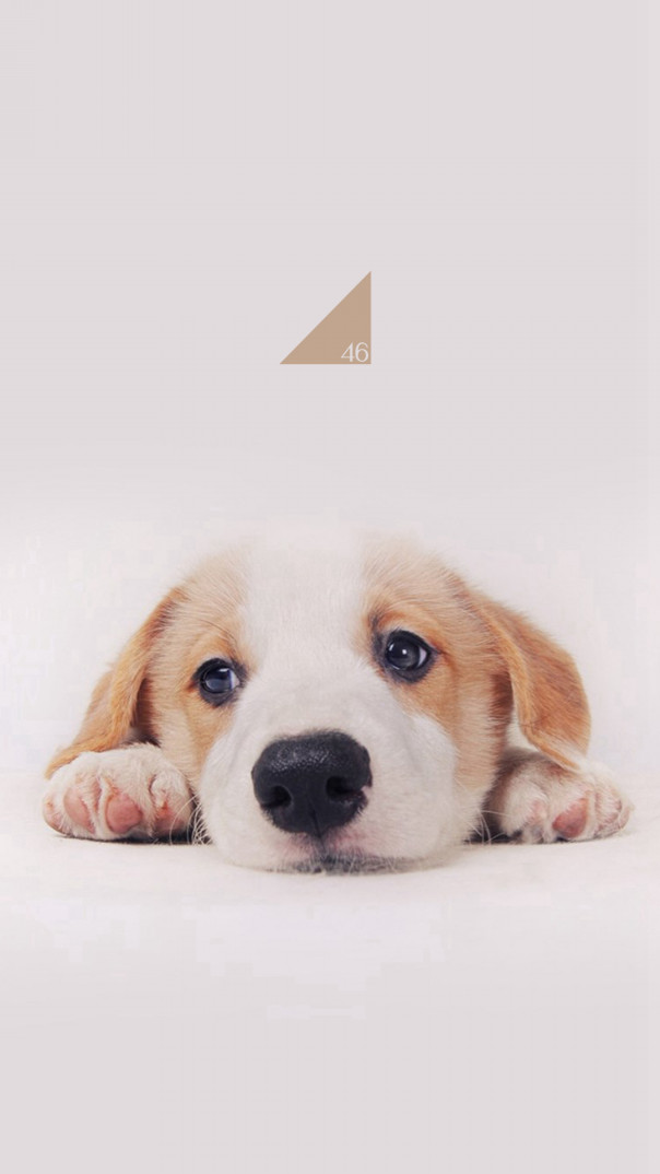 かわいい スマホ 壁紙 犬 かわいい スマホ 壁紙 犬 ちょうど最高のディズニーの画像