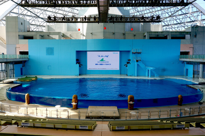 横浜 八景島シーパラダイス プールに大型ledビジョンを新設 完全リニューアルされたイルカのショーが素晴らしい Hibino Break Time