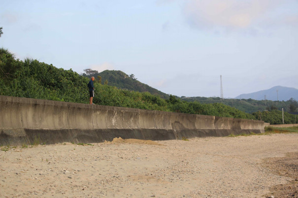 初めて上陸したウミガメに遭遇 みらい創り日記 初めて上陸したウミガメに遭遇 みらい創り日記
