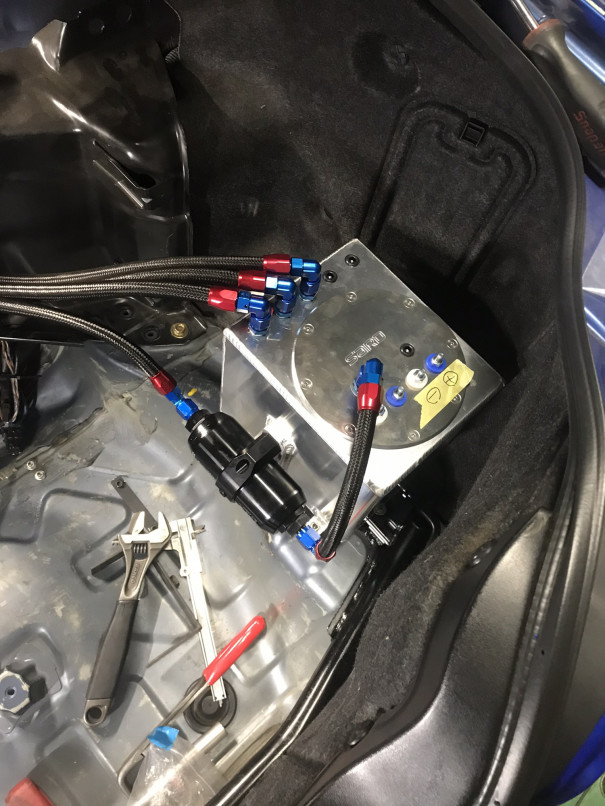 コレクタータンク Custom Sports Mandy カスタムスポーツマンディ