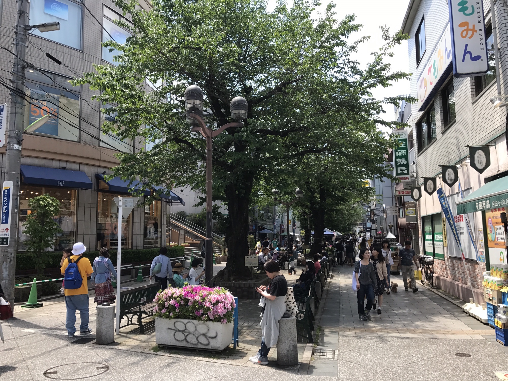 自由が丘（東京）／九品仏川緑道】九品仏川をふたがけをして作られて