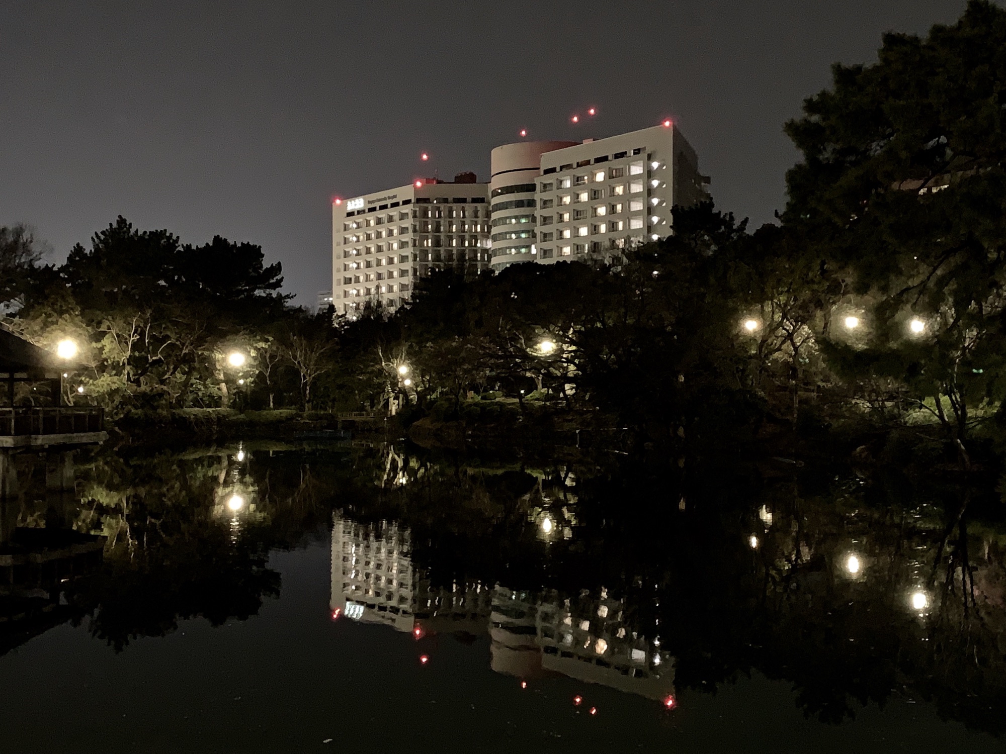 鶴舞公園】竜ヶ池は桜が咲き始めています。  名古屋発！街とりっぷ 